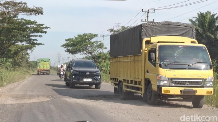 Jalan lintas provinsi di wilayah Siak, Riau rusak parah dan banyak lubang. (Foto: Raja Adil Siregar/detikSumut).