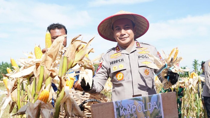 Kapolda Riau Irjen Herry Heryawan melaksanakan panen jagung raya di Pekanbaru.