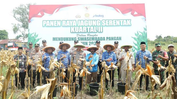 Kapolres Inhu AKBP Fahrian Siregar panen jagung bersama kelompok tani.