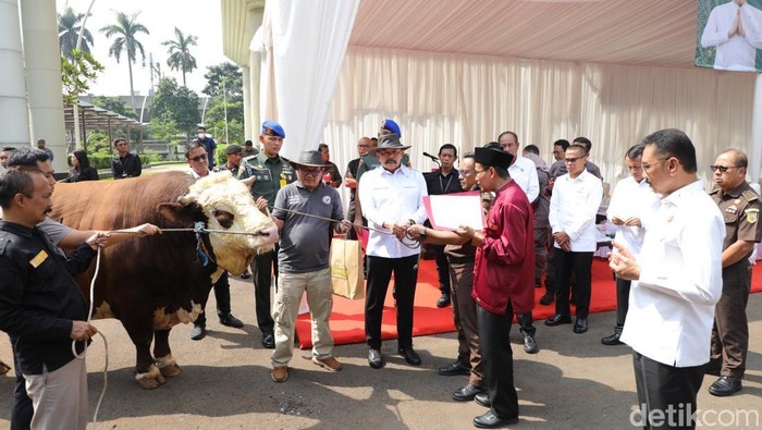 Kejaksaan Agung (Kejagung) menyerahkan 47 hewan kurban untuk masyarakat. (Rumondang/detikcom)