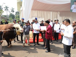 Jaksa Agung Serahkan 47 Hewan Kurban ke Warga: 37 Sapi-9 Kambing