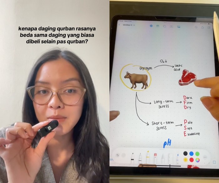 Kenapa Ya Daging Kurban Rasanya Beda dari Daging Biasa?