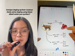 Kenapa Ya Daging Kurban Rasanya Beda dari Daging Biasa?