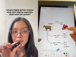 Kenapa Ya Daging Kurban Rasanya Beda dari Daging Biasa?