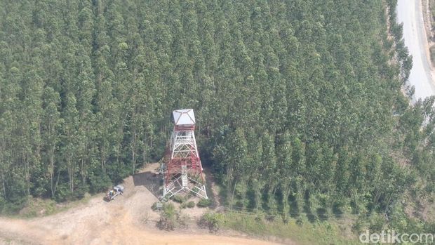 Menara pantau setinggi 30 meter untuk memantau situasi dan antisipasi terjadinya karhutla
