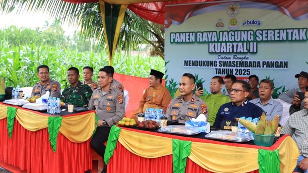 Panen jagung raya di Indragiri Hilir, Riau.