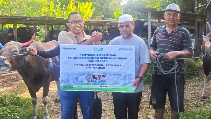 Pelindo Petikemas