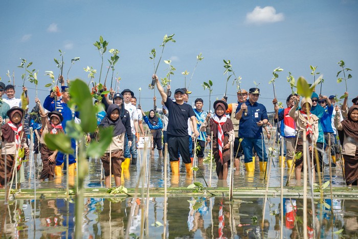Penanaman mangrove oleh Pemprov Jateng