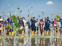 Ahmad Luthfi Targetkan Tanam 1,5 Juta Mangrove hingga Akhir Tahun