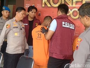 Modal Rp 4 Juta, Maling Bawa Kabur Sapi di Batang