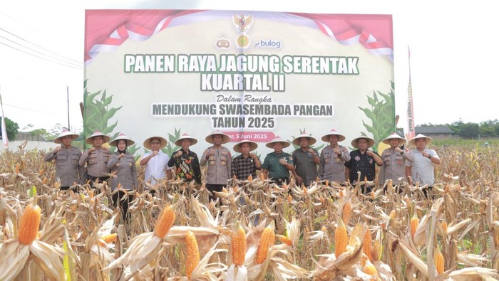 Panen raya dan penyerahan benih jagung Bhayangkara yang digelar Polres Blitar