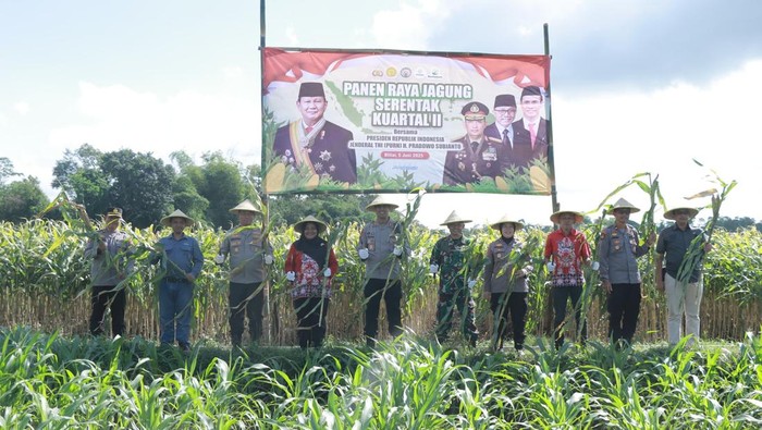 Polres Blitar Kota menggelar panen jagung di Kepanjenkidul, Kota Blitar