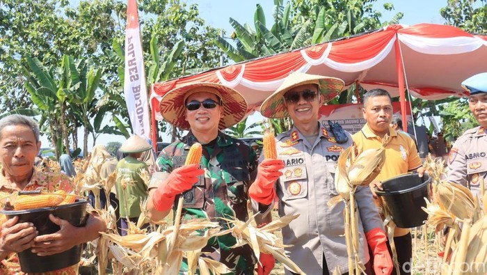 Polres Bojonegoro dan petani panen jagung