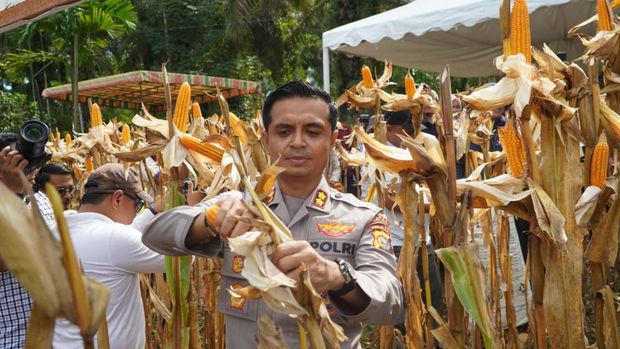  dari Rohul sampai Pelalawan