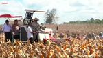 Potret Kapolri Dampingi Prabowo Panen Raya Jagung Serentak