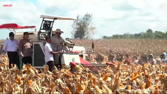 Presiden Prabowo Subianto memimpin panen raya jagung serentak kuartal II. Prabowo didampingi Kapolri Jenderal Listyo Sigit Prabowo dan Mentan Amran Sulaiman. (YouTube Setpres)