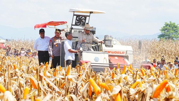 Presiden Prabowo Subianto memimpin panen raya jagung serentak kuartal II. Prabowo didampingi Kapolri Jenderal Listyo Sigit Prabowo dan Mentan Amran Sulaiman. (dok Istimewa) Presiden Prabowo Subianto memimpin panen raya jagung serentak kuartal II. Prabowo didampingi Kapolri Jenderal Listyo Sigit Prabowo dan Mentan Amran Sulaiman. (dok Istimewa)