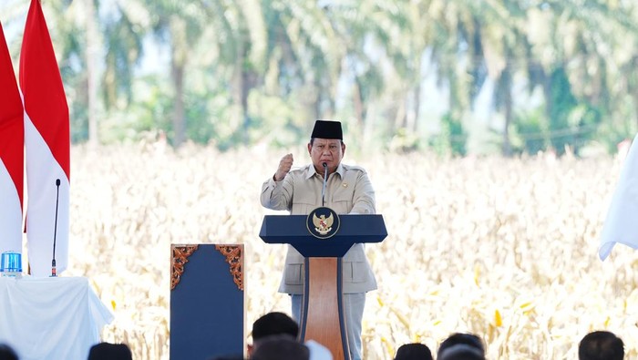 Presiden Prabowo Subianto mengatakan Indonesia sedang menuju arah yang benar untuk kedaulatan pangan. Prabowo menargetkan, Indonesia tak akan impor jagung pada 2026. (dok Istimewa)