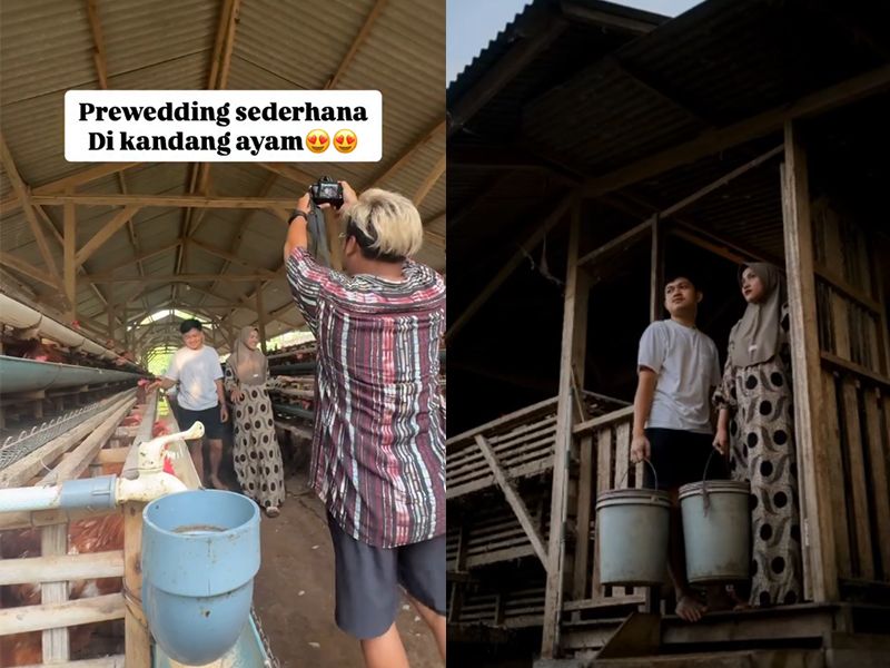 Fotografer ini mengabadikan sesi foto prewedding di kandang ayam, unik dan langsung viral di TikTok.
