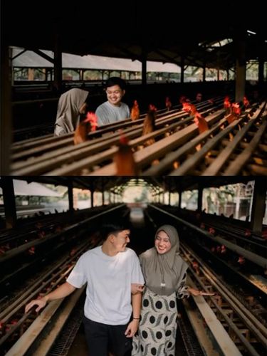 Fotografer ini mengabadikan sesi foto prewedding di kandang ayam, unik dan langsung viral di TikTok.