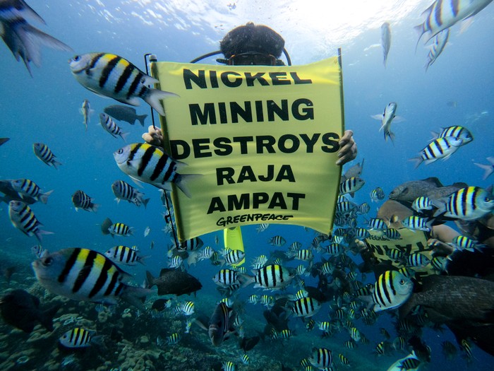 Greenpeace Indonesia Forest Campaign Team Leader, Arie Rompas, hold a banner reading Nickel Mining Destroys Raja Ampat in the UNESCO Global Geopark area of Raja Ampat, Southwest Papua, Indonesia.

Raja Ampat is a region of extraordinary megabiodiversity and home to one of the richest coral reef ecosystems in the world. Its biodiversity surpasses that of many other areas within the Coral Triangle, providing a habitat for hundreds of unique and rare species of flora and fauna, including wobbegongs, morray eel, sea turtles, sharks, manta rays, and a wide variety of fish.