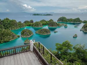 Save Raja Ampat, Deretan Selebritas Ikut Bersuara