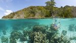 Surga Raja Ampat Terancam Tambang, Alarm untuk Alam