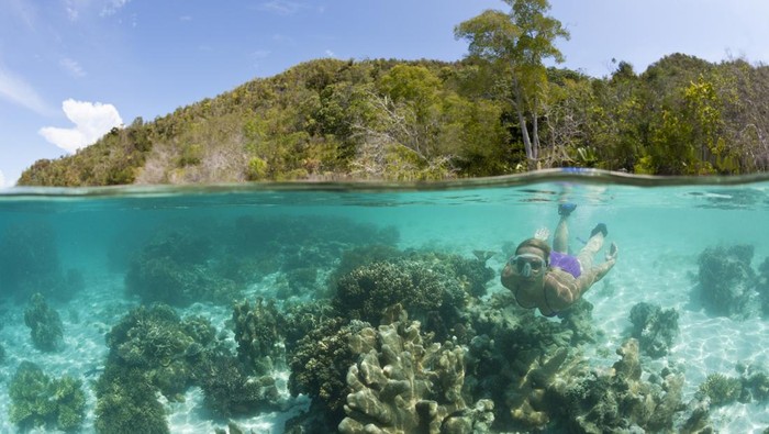 (GERMANY OUT) Scuba Diver in Grotto, Raja Ampat, West Papua, Indonesia   (Photo by Reinhard Dirscherl/ullstein bild via Getty Images)