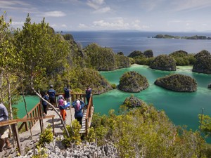 Sejumlah Pesohor Tanah Air Serukan Tagar Save Raja Ampat