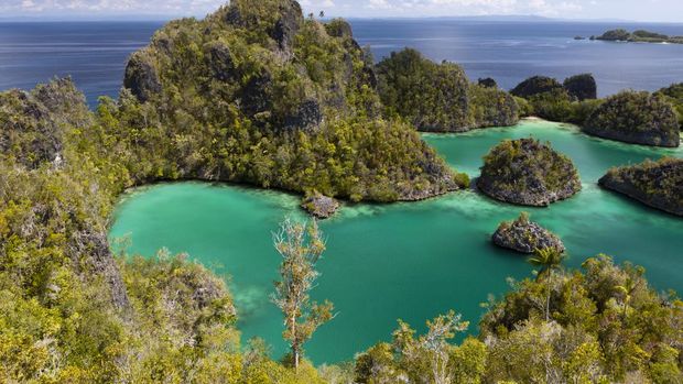 (GERMANY OUT) Scuba Diver in Grotto, Raja Ampat, West Papua, Indonesia   (Photo by Reinhard Dirscherl/ullstein bild via Getty Images)