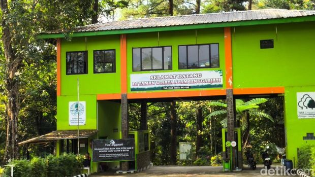 Taman Wisata Alam Linggarjati.