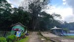 Potret Asrinya Taman Wisata Alam Linggarjati Kuningan