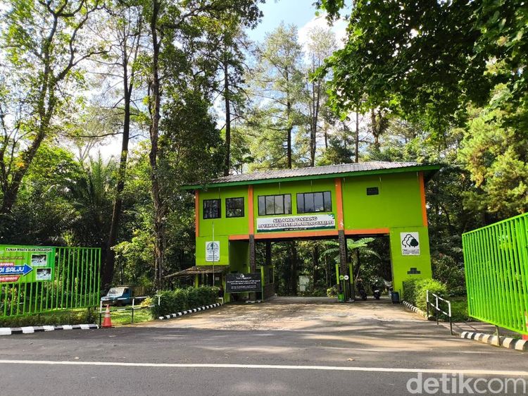 Potret Asrinya Taman Wisata Alam Linggarjati Kuningan