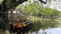 Taman Wisata Alam Linggarjati menyuguhkan udara yang asri, area bermain anak, kolam ikan dewa dan ikan terapi. Lokasinya di kawasan Linggasana, Kecamatan Cilimus, Kabupaten Kuningan.