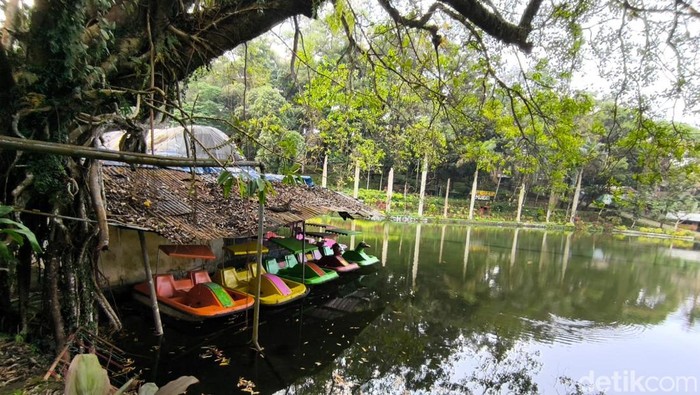 Taman Wisata Alam Linggarjati Kuningan Taman Wisata Alam Linggarjati Kuningan