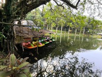 Menikmati Suasana Asri Taman Wisata Alam Linggarjati Kuningan