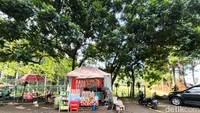 Bagi yang ingin ke Taman Wisata Alam Linggarjati, dari Cirebon pengunjung bisa langsung ke arah Jalan Raya Cirebon-Kuningan lurus terus sampai ke Jalan Raya Cilimus lalu belok kanan di Jalan Bojong Linggarjati lurus terus sampai terlihat bangun berwarna hijau dengan tulisan Taman Wisata Alam Linggarjati.