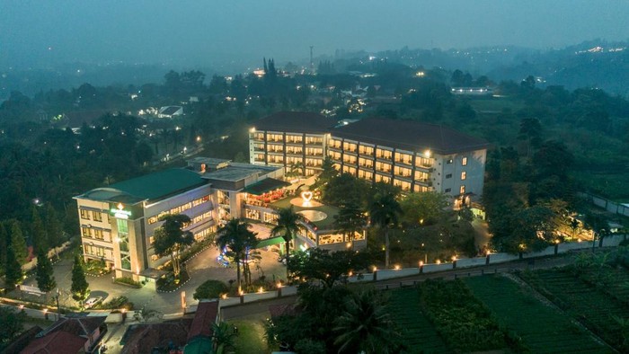 The Green Peak, ARTOTEL Curated