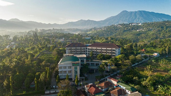 The Green Peak, ARTOTEL Curated