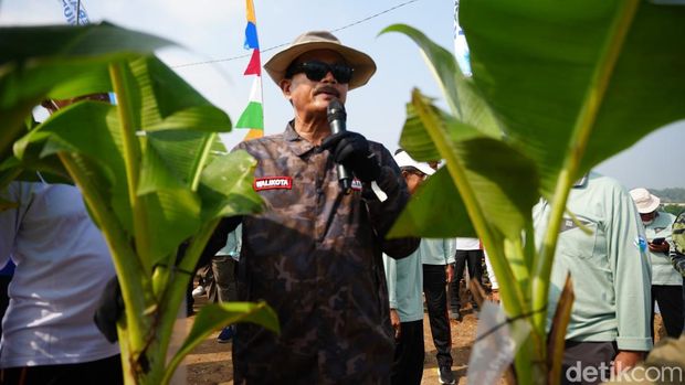 Tumpukan sampah 20 Meter di Kota Madiun disulap jadi gunung