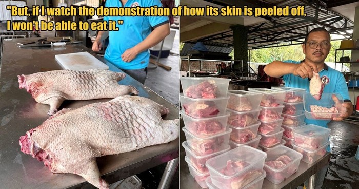 Wah! Daging Landak Disebut Lebih Enak Daripada Daging Ayam
