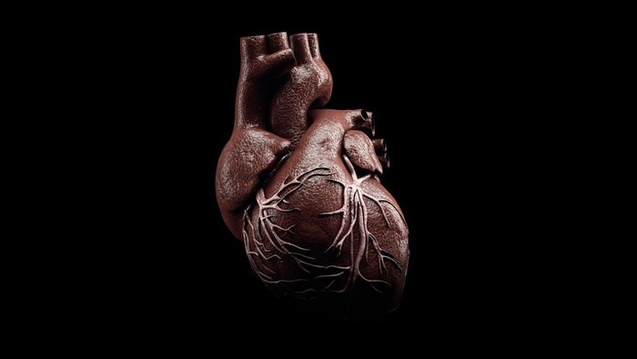 3d Illustration of Anatomy of Human Heart Isolated on black.