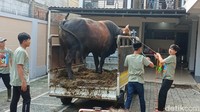 Pedangdut asal Depok itu, akan ikut membagikan daging kurban. Foto: Pingkan/detikHOT