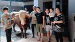 Ayu Ting Ting Beraksi! Ikut Potong Daging Kurban di Rumah
