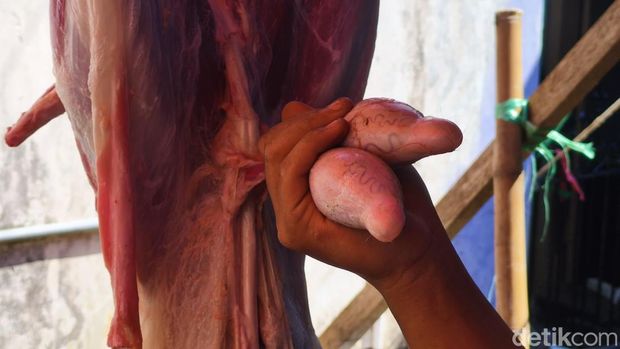 Torpedo kambing banyak diburu kaum pria karena diyakini bisa meningkatkan vitalitas. Klaim ini masih diragukan, tapi yang pasti bisa memicu asam urat.
