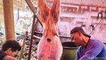 Penampakan Torpedo Kambing, Diyakini Bisa Dongkrak Vitalitas Pria