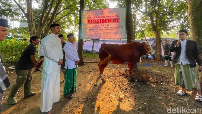 Bupati Bandung, Dadang Supriatna dan Wakil Bupati Bandung, Ali Syakieb saat menyaksikan pemotongan sapi dari Prabowo Subianto. (Foto: Yuga Hassani/ detikJabar)