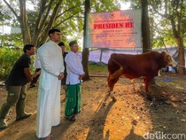 Dadang-Ali Kompak Potong Sapi dari Presiden Prabowo Subianto di Soreang