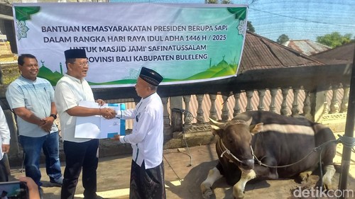 Bupati Buleleng Nyoman Sutjidra menyerahkan sapi pemberian Presiden Prabowo Subianto untuk Masjid Jami Safinatussalam di Pegayaman, Sukasada, Buleleng, Bali, Jumat (6/6/2025). (Foto: Made Wijaya Kusuma/detikBali.