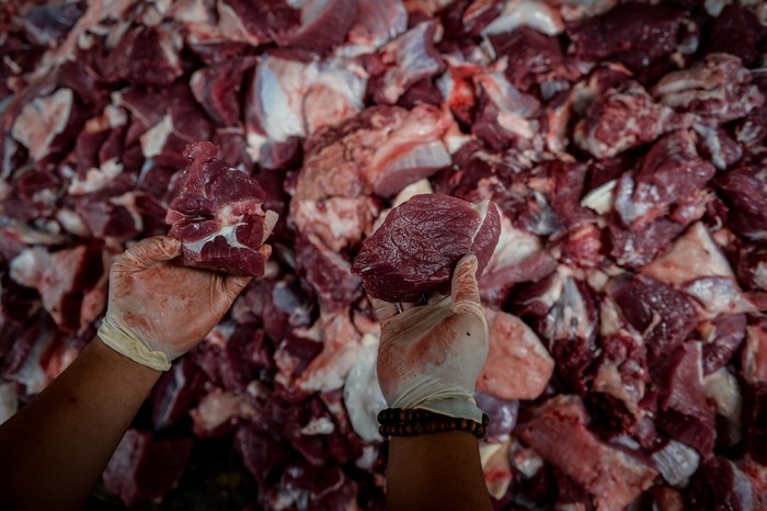 Dokter hewan memeriksa daging sapi kurban di UPT Rumah Potong Hewan (RPH) Bayur, Kota Tangerang, Banten, Jumat (6/6/2025). Pemeriksaan pada jeroan dan daging hewan kurban tersebut untuk memastikan kelayakan serta keamanan sebelum dikonsumsi masyaraka